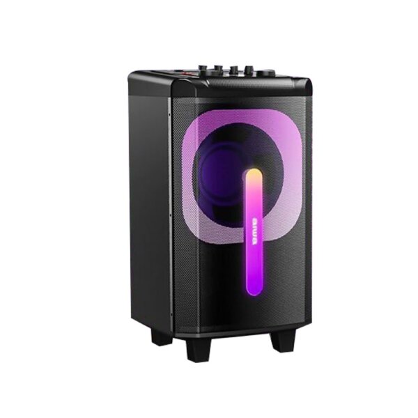 اسپيکر آيوا پرتابل مدل SSX150DSPPRO